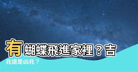 黑色蝴蝶飛進家裡|蝴蝶飛進家，如何應對趨吉避兇？